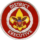 District Executive